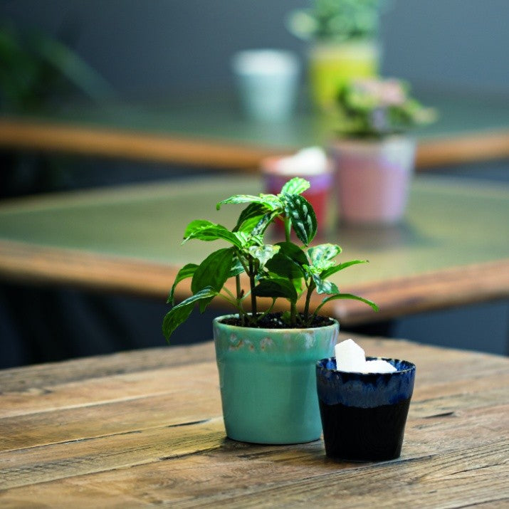 6 verres café lungo en grès « Grespresso »