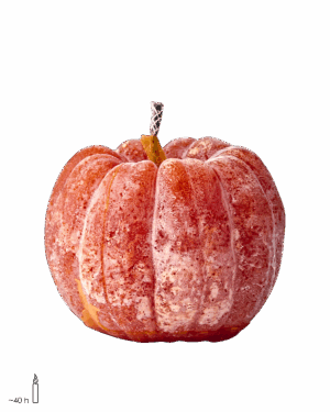 Utilisation extérieur uniquement.