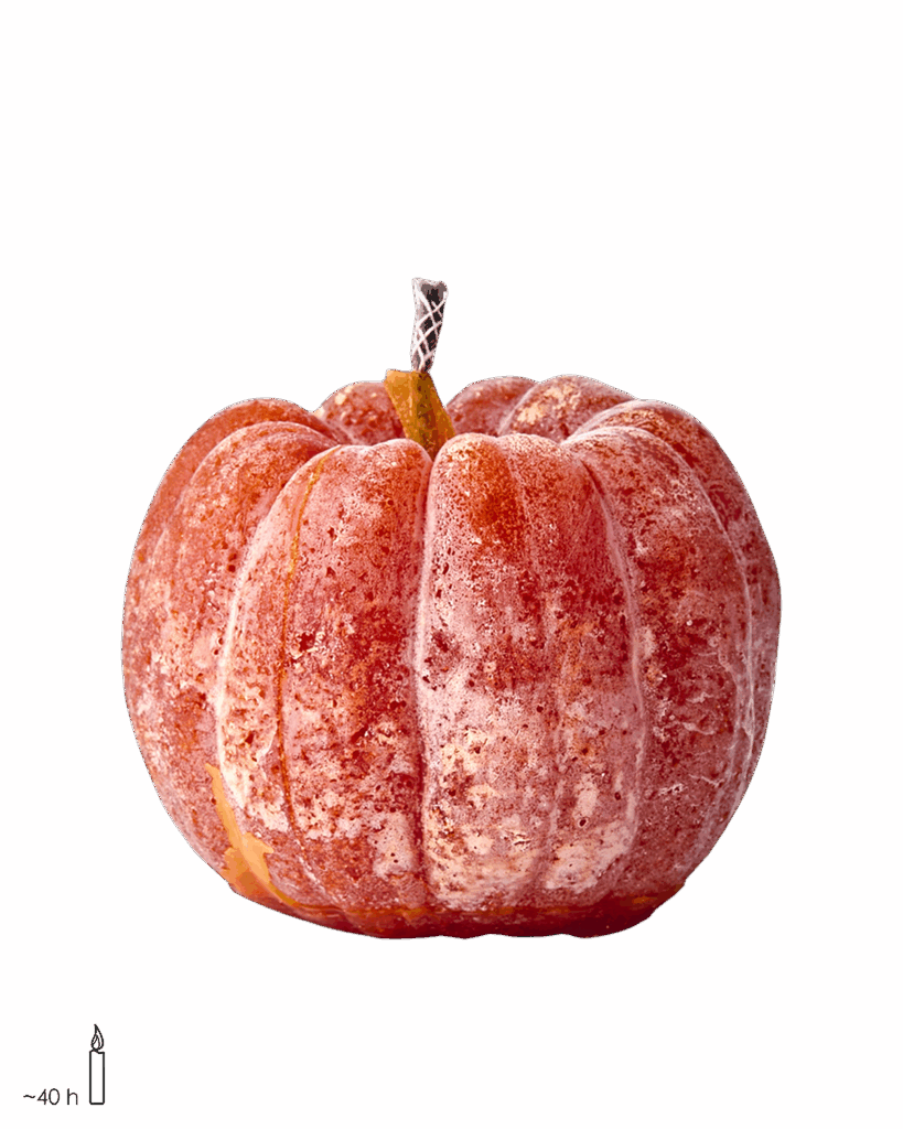 Utilisation extérieur uniquement.